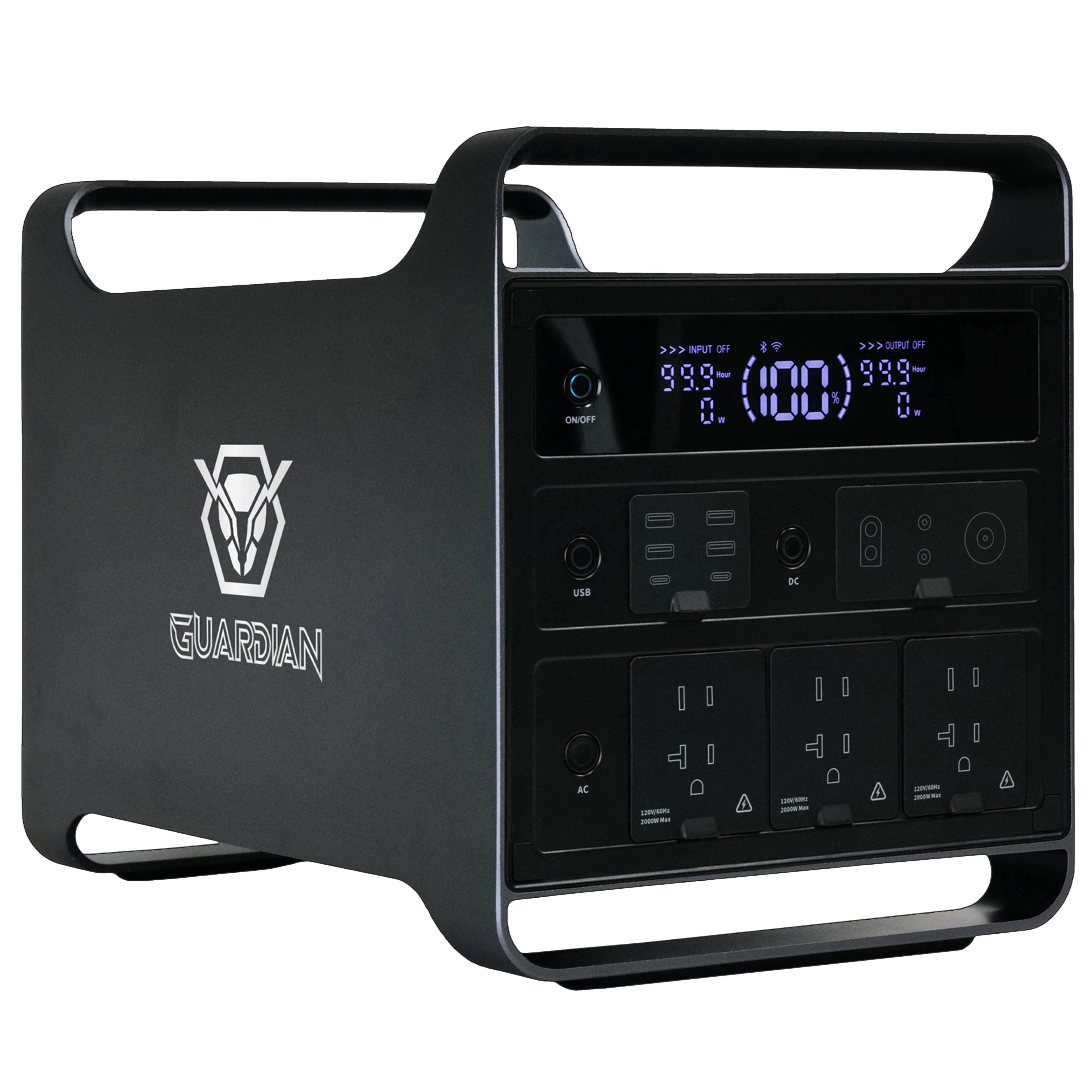 GUARDIAN SSP-2000